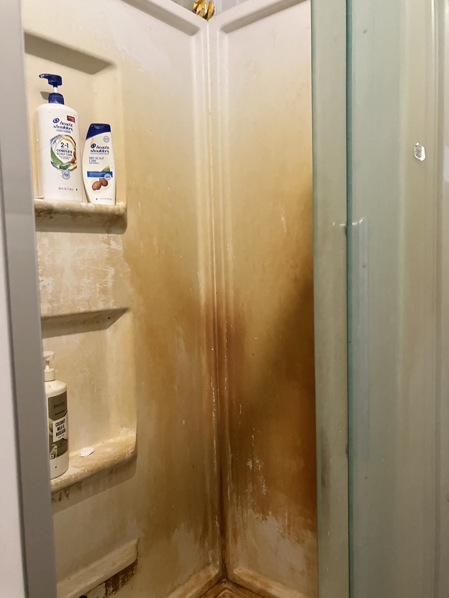 photo of dirty shower