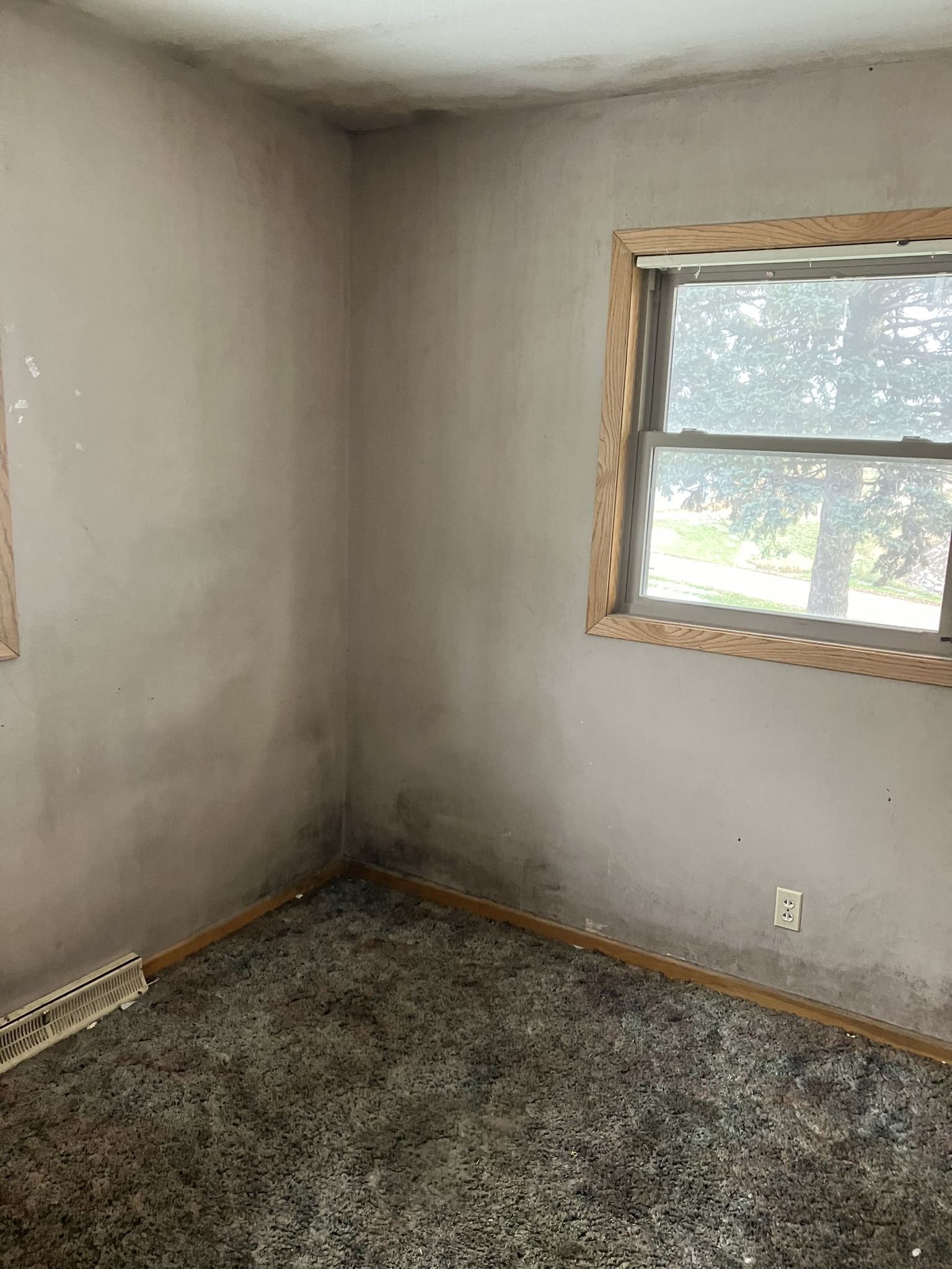 photo of a corner of a room with mold onthe walls and ceiling