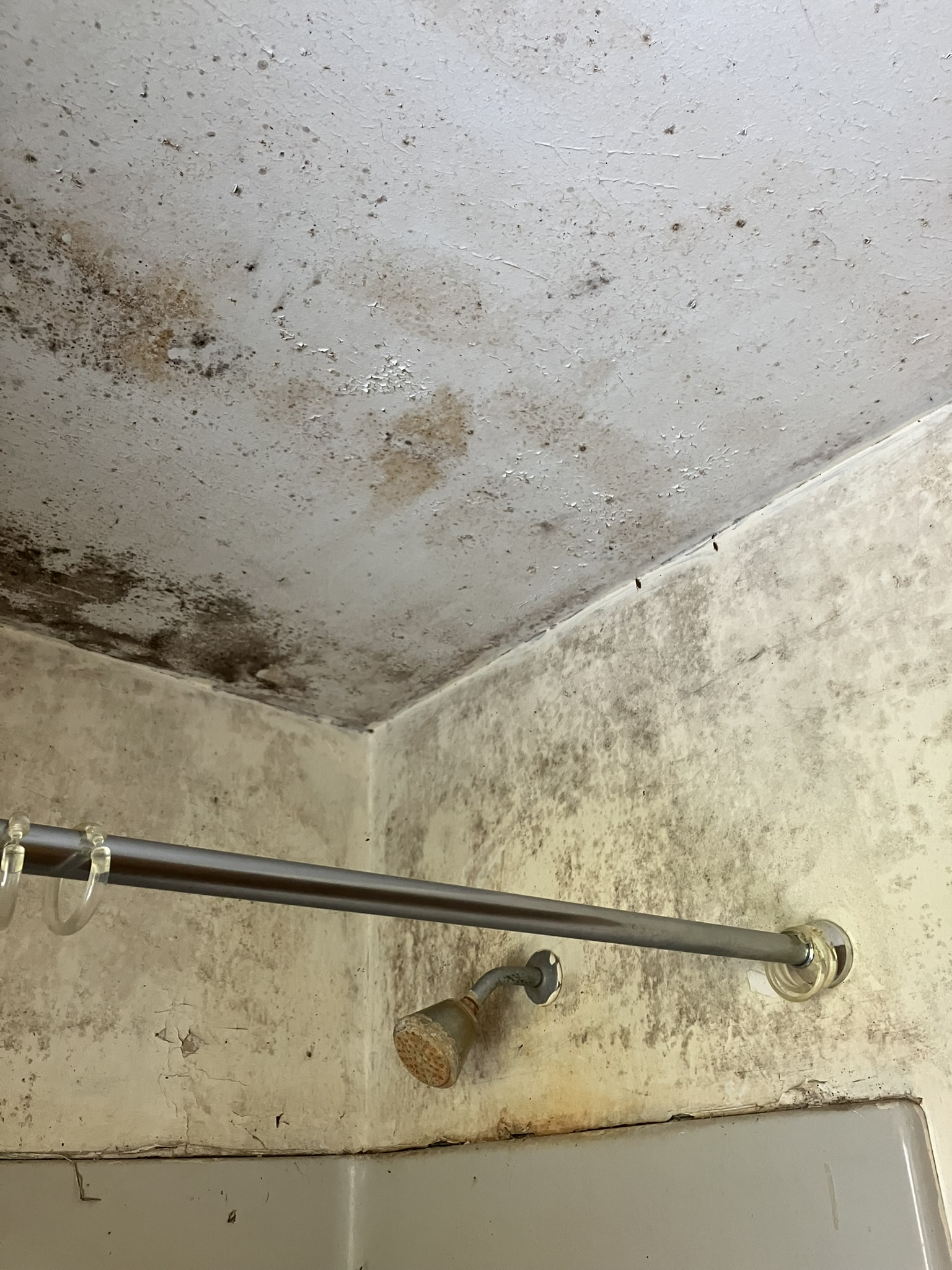 photo of mold on ceiling and walls of a shower