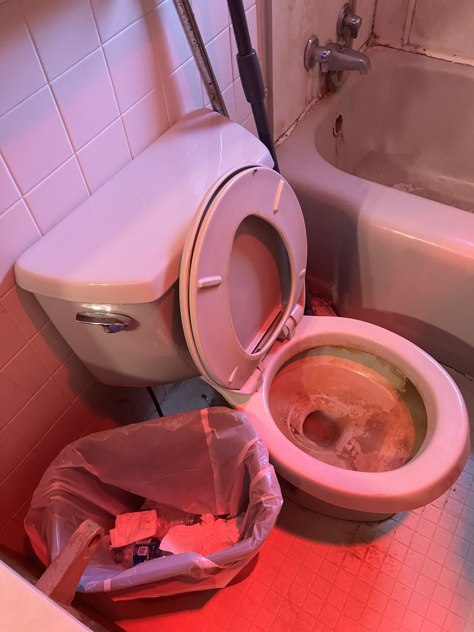 photo of a dirty toilet and bathtub