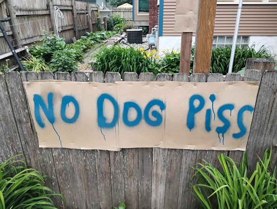 Spray painted sign reading No Dog Piss stapled to a fence